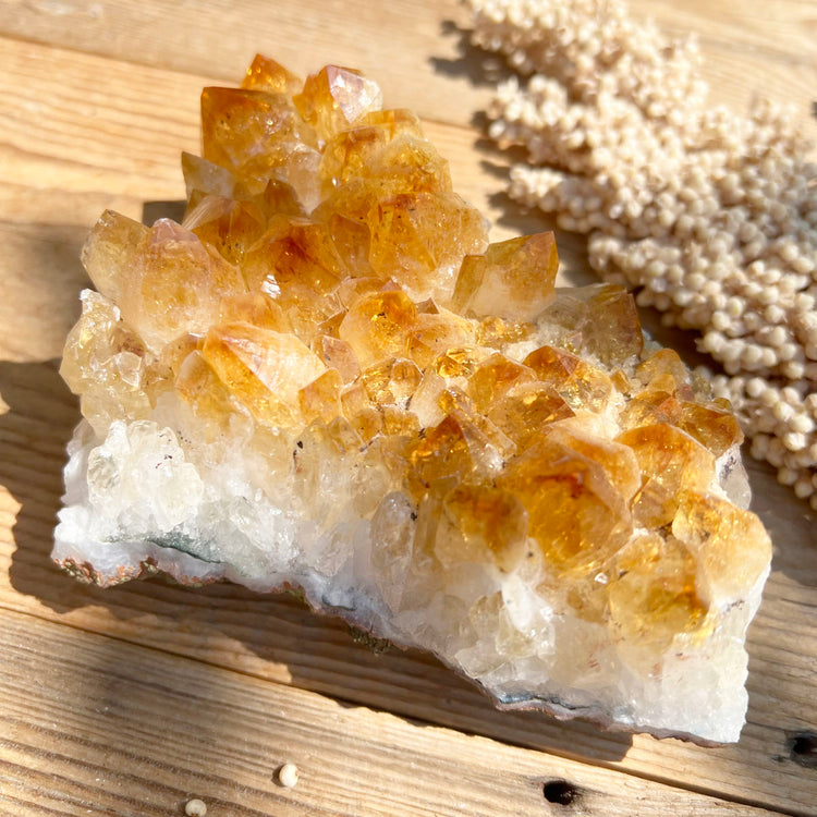 Heilsteine für das Sternzeichen Löwe