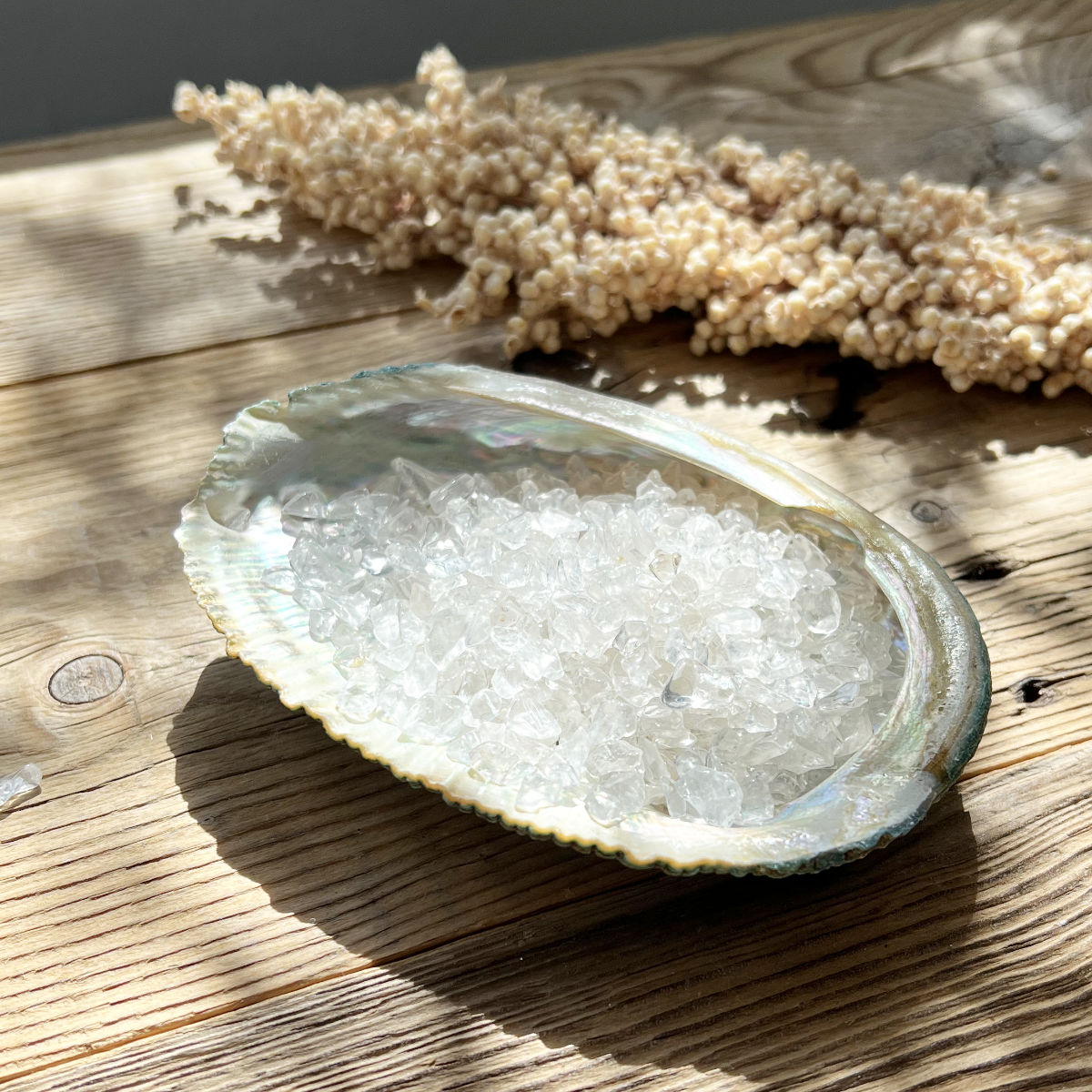 Muschel Schale (Abalone) - DIY SPIRIT #
