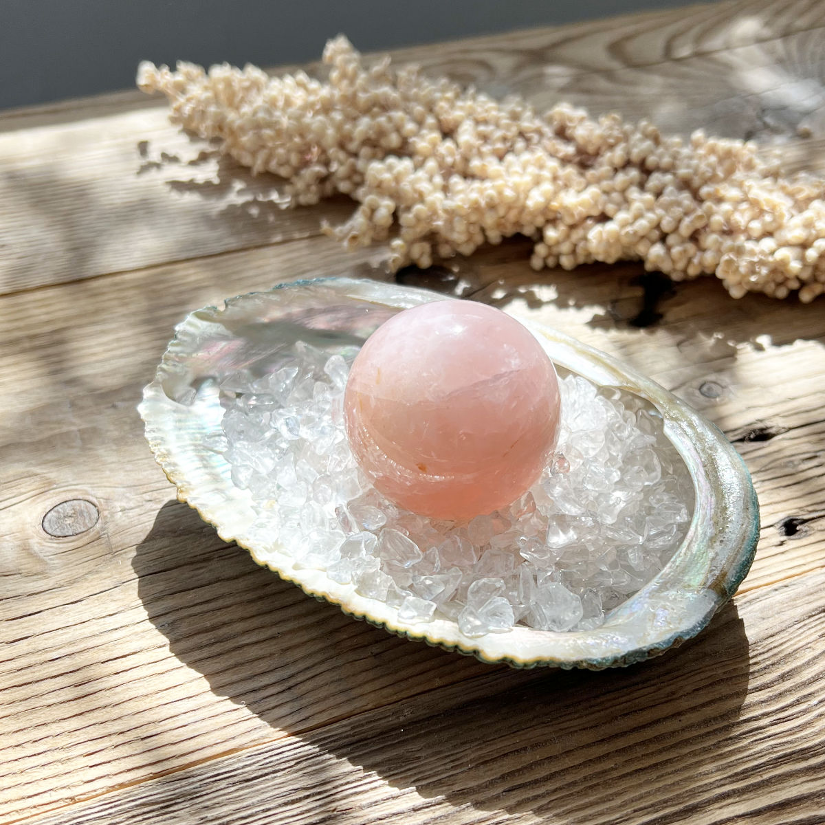Muschel Schale (Abalone) - DIY SPIRIT #