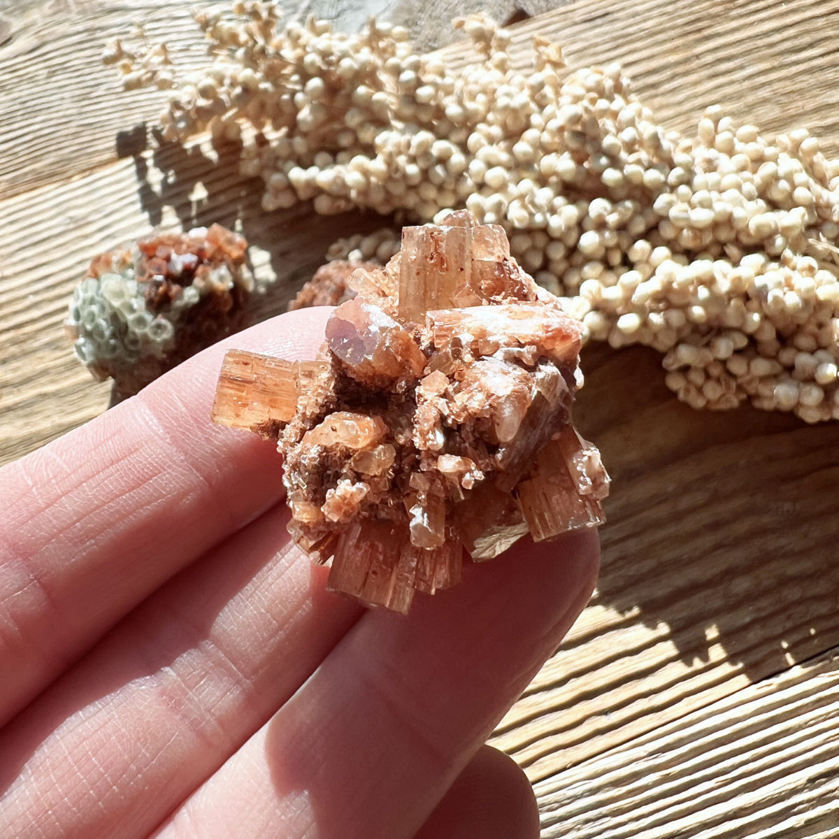 Aragonit Stufe - DIY SPIRIT #