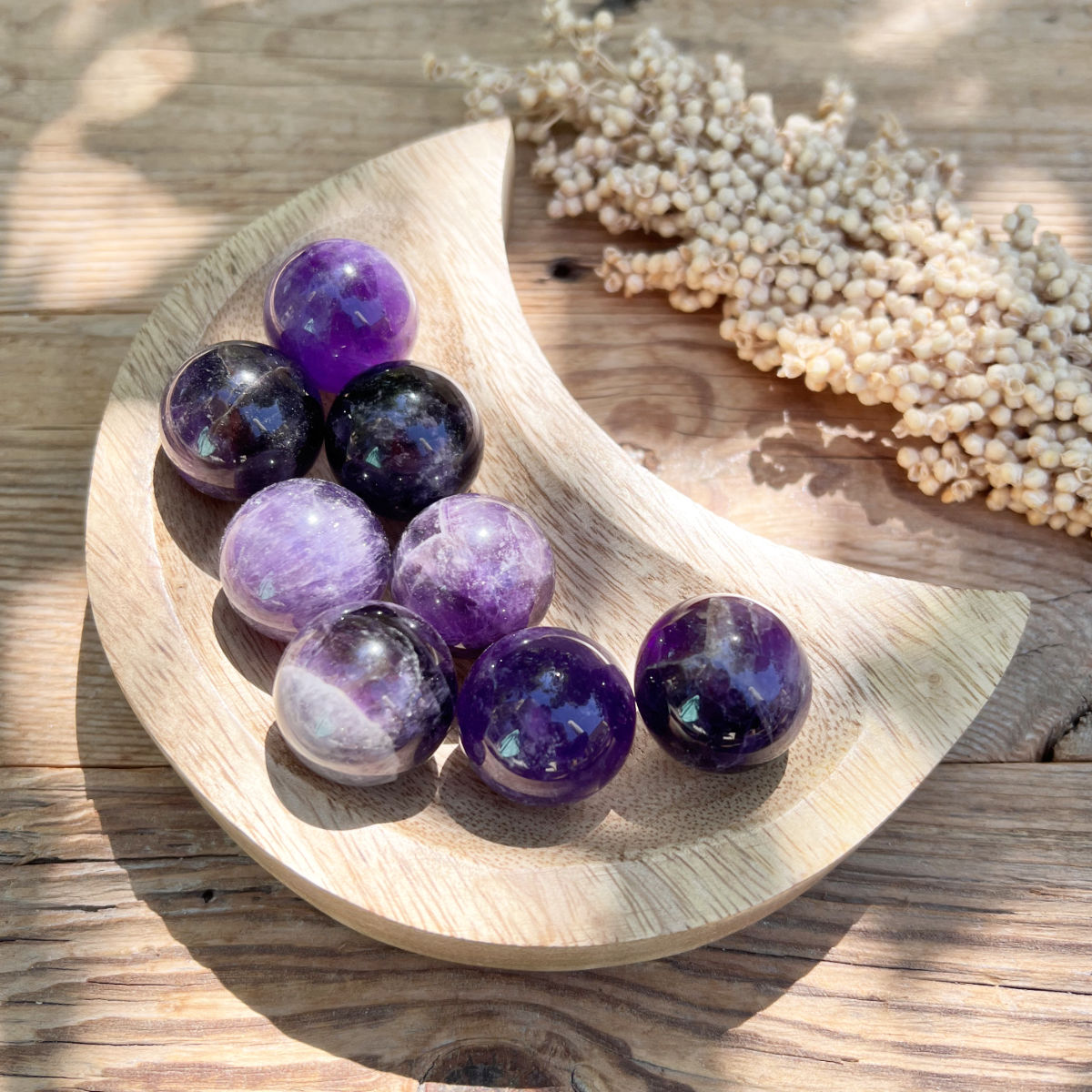 Mangoholz Mondschale