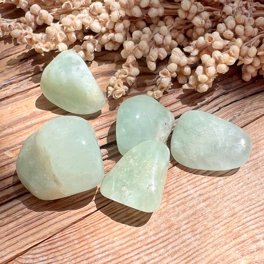 Prehnit Trommelstein