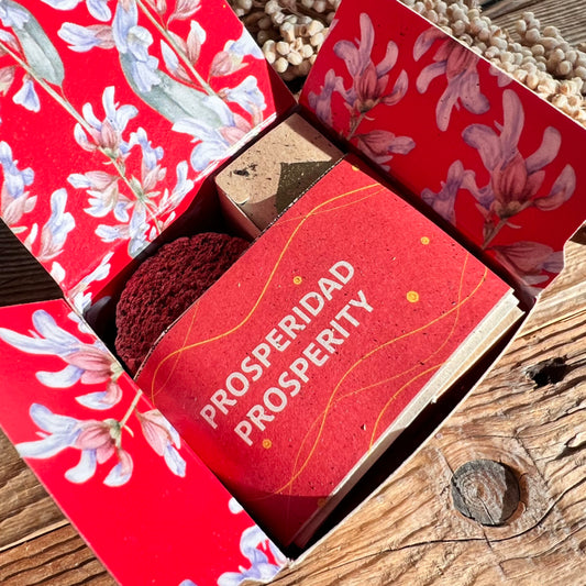 Wohlstand Räucherset - DIY SPIRIT #