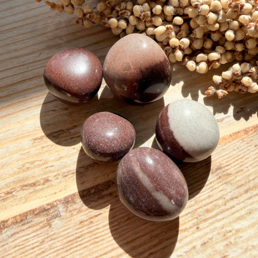 Shiva Stone Trommelstein