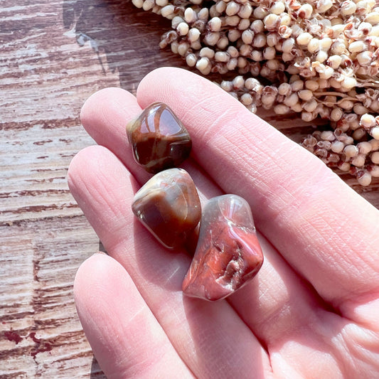 Versteinertes Holz Trommelstein