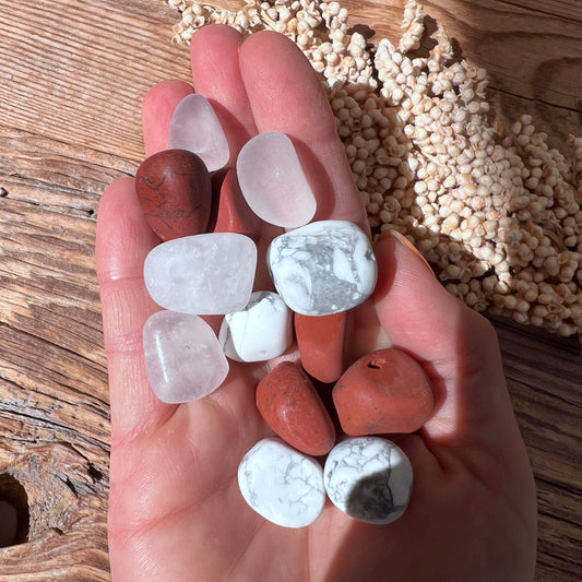 Vitality Wasserstein-Set