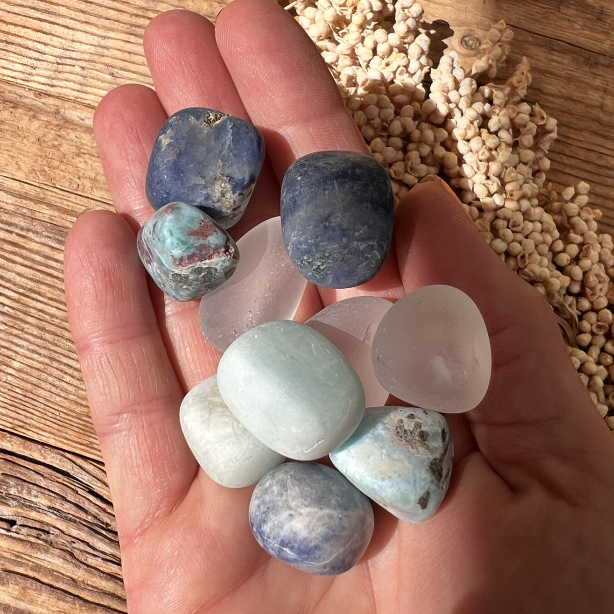 Growth Wasserstein-Set - DIY SPIRIT