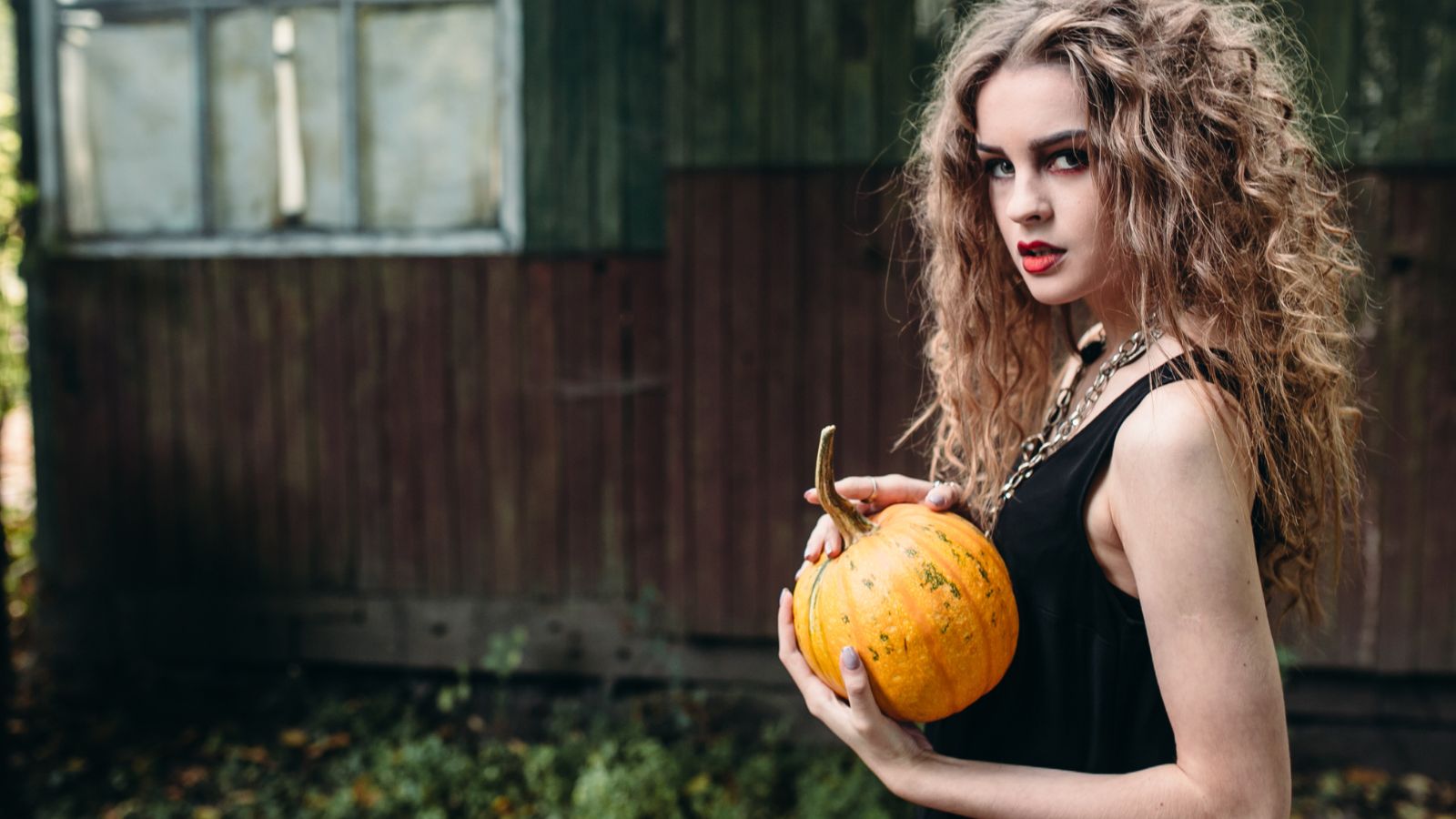 Samhain - Fest des Übergangs