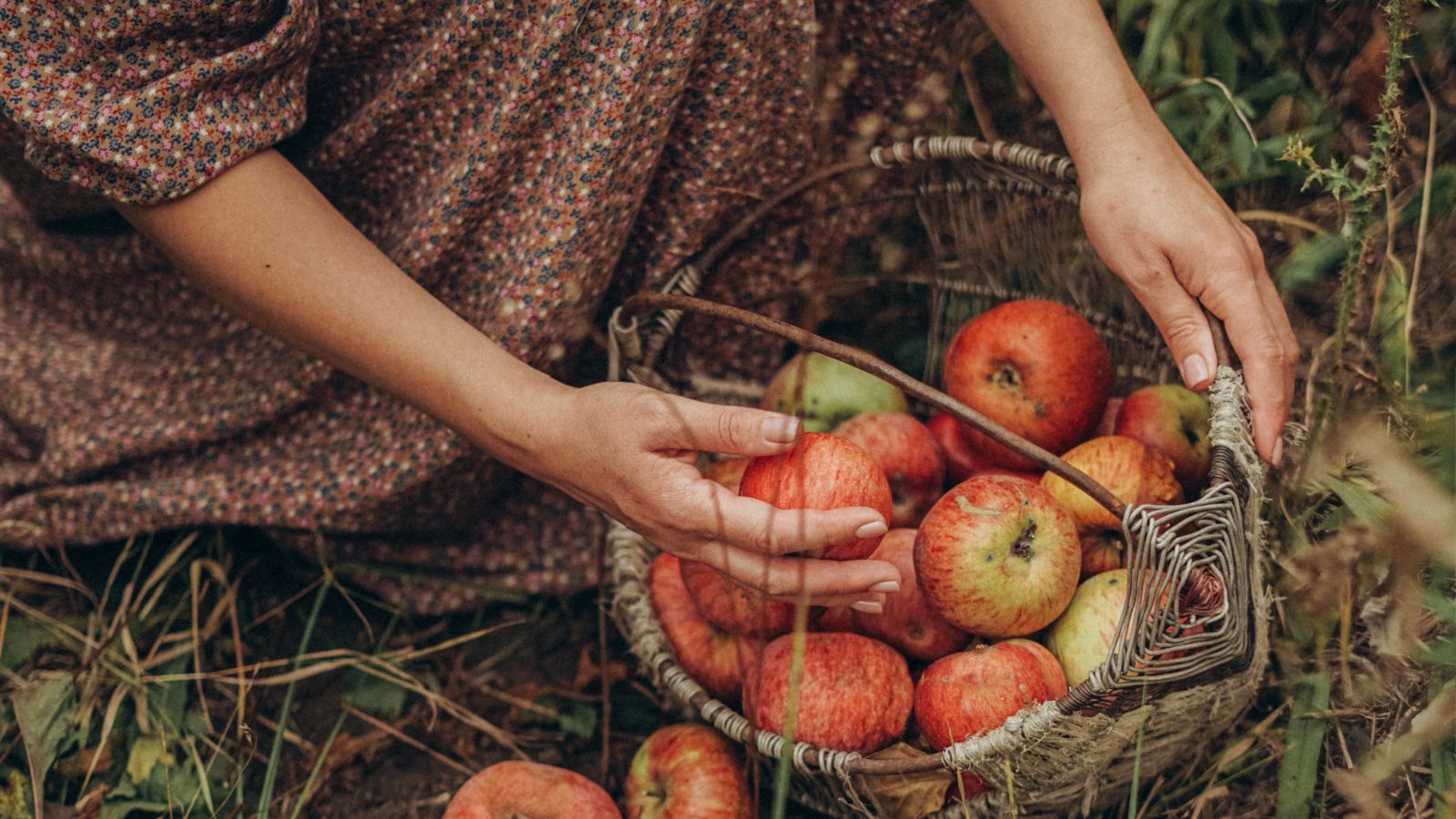 Mabon - Höhepunkt der Erntezeit