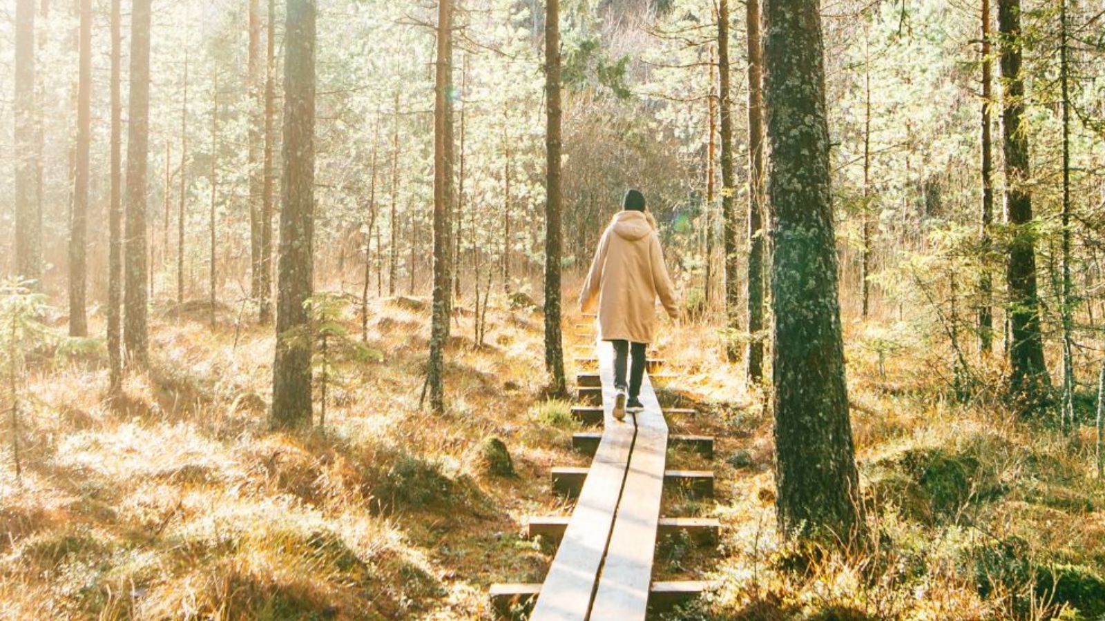 Step into Gratitude Mabon-Ritual