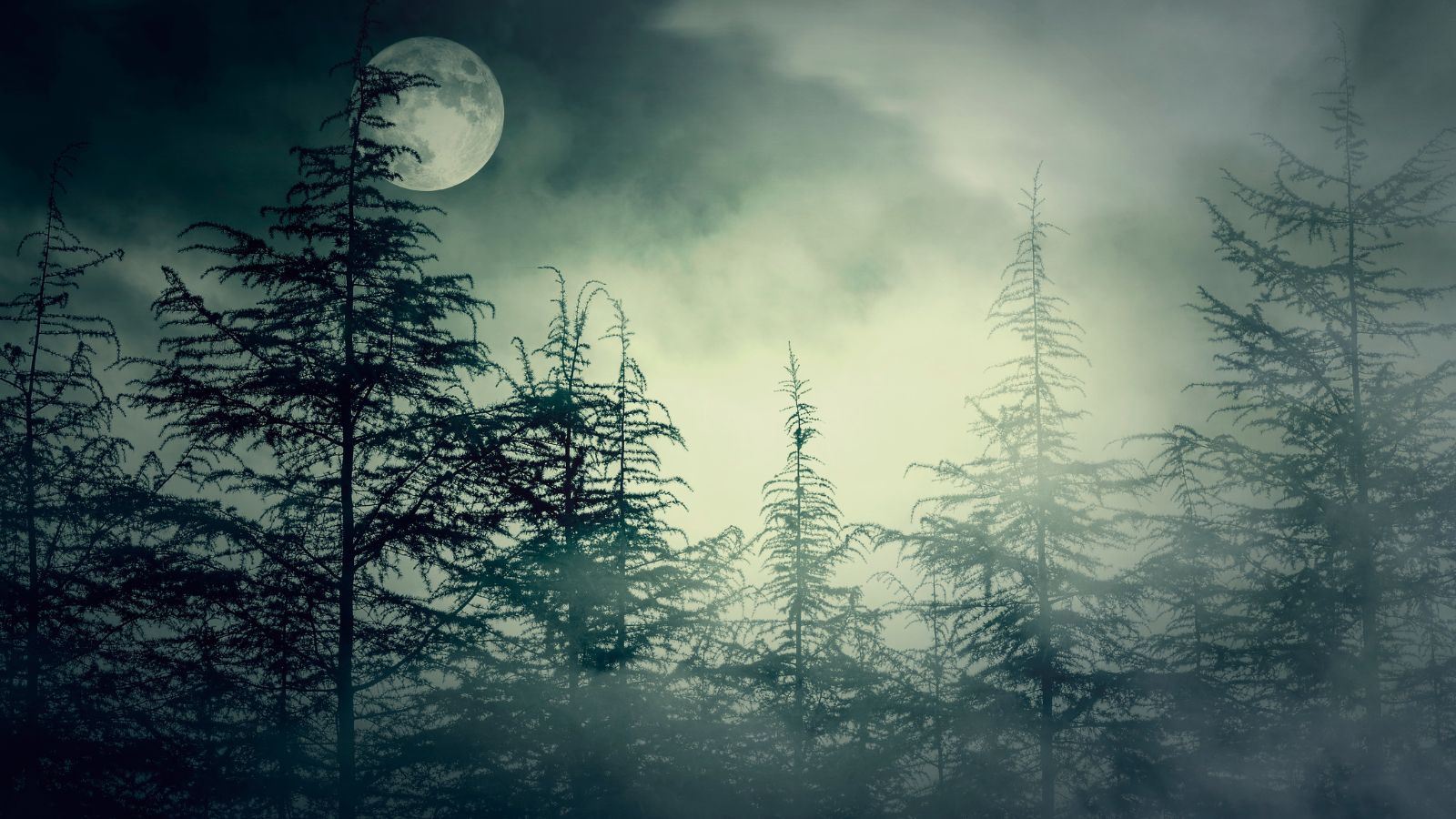 Nebelmond - der Vollmond im November