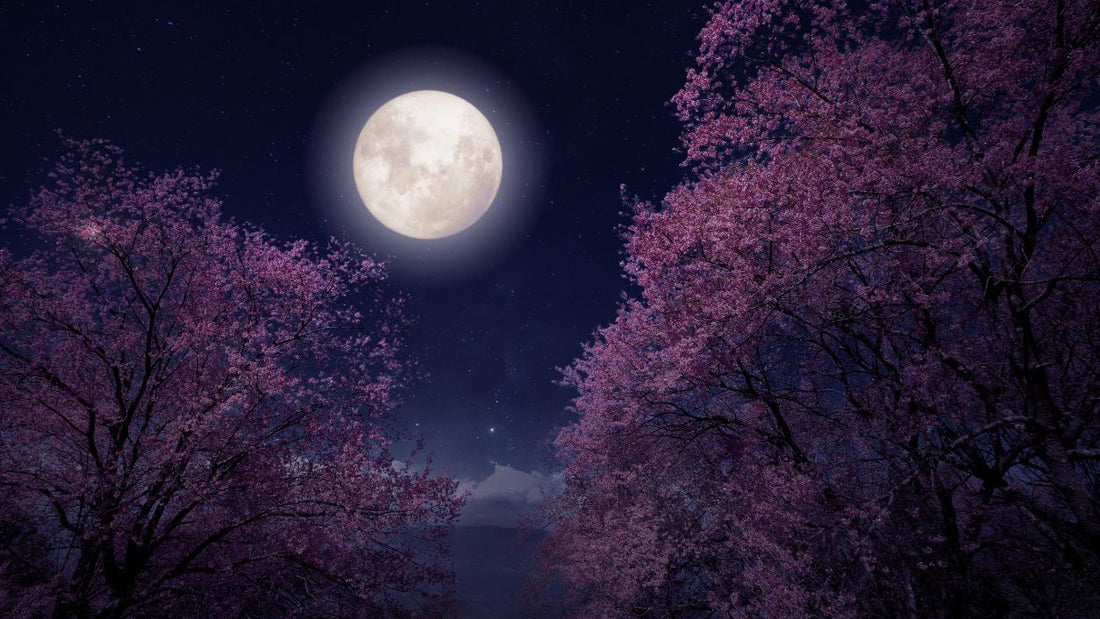 Vollmond im Schützen: Weite und Erkenntnis