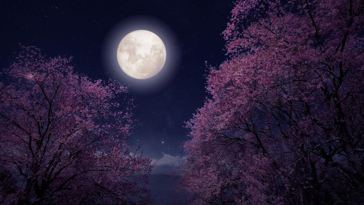 Vollmond im Schützen: Weite und Erkenntnis