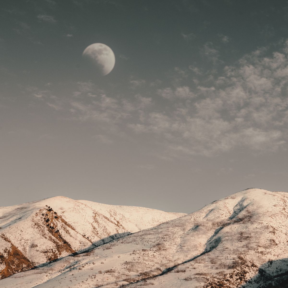 Schneemond - der Vollmond im Februar