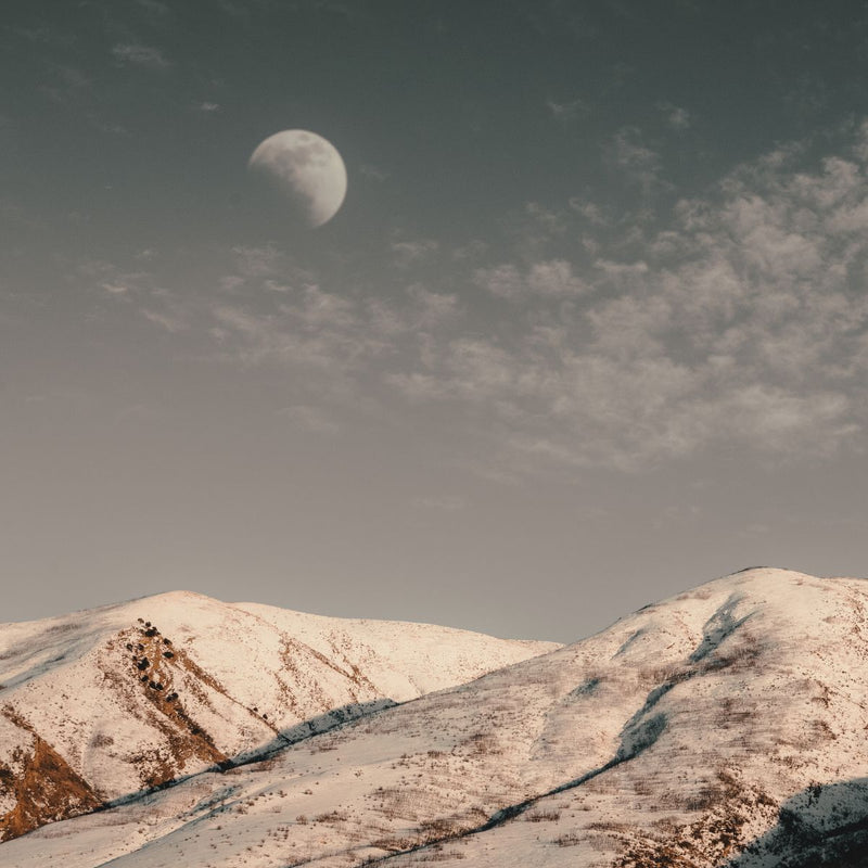 Schneemond - der Vollmond im Februar