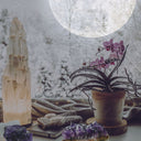 Vollmond-Ritual: Deine Kristalle im Mondlicht aufladen