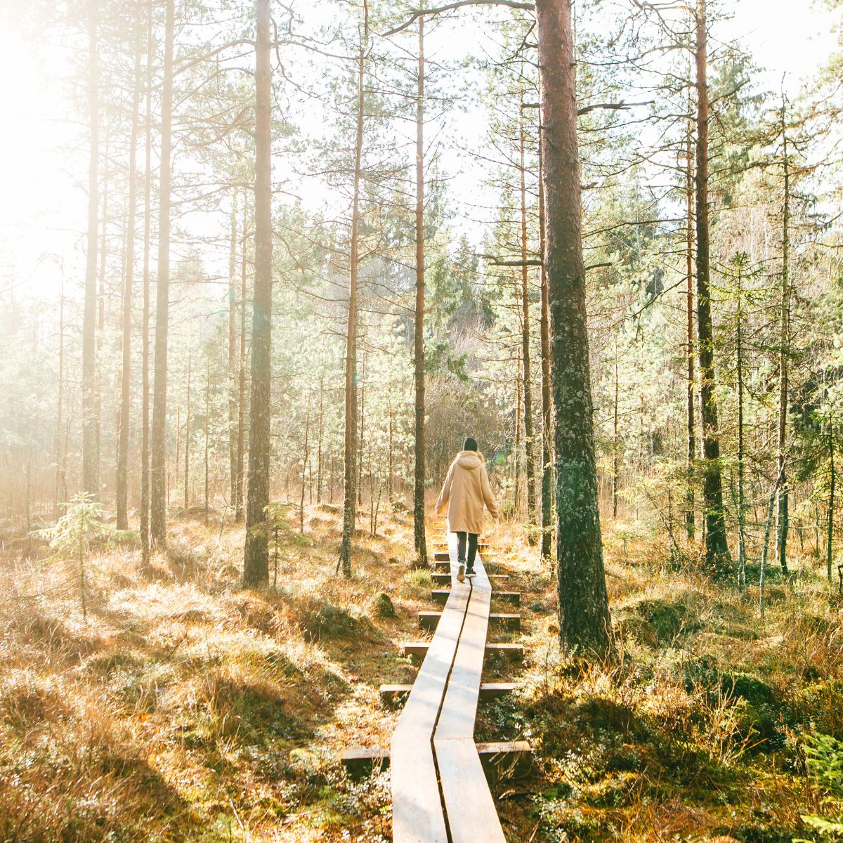 Step into Gratitude: Mabon-Ritual für deine persönliche Ernte