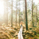 Step into Gratitude: Mabon-Ritual für deine persönliche Ernte