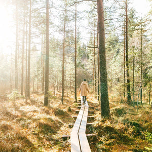 Step into Gratitude: Mabon-Ritual für deine persönliche Ernte