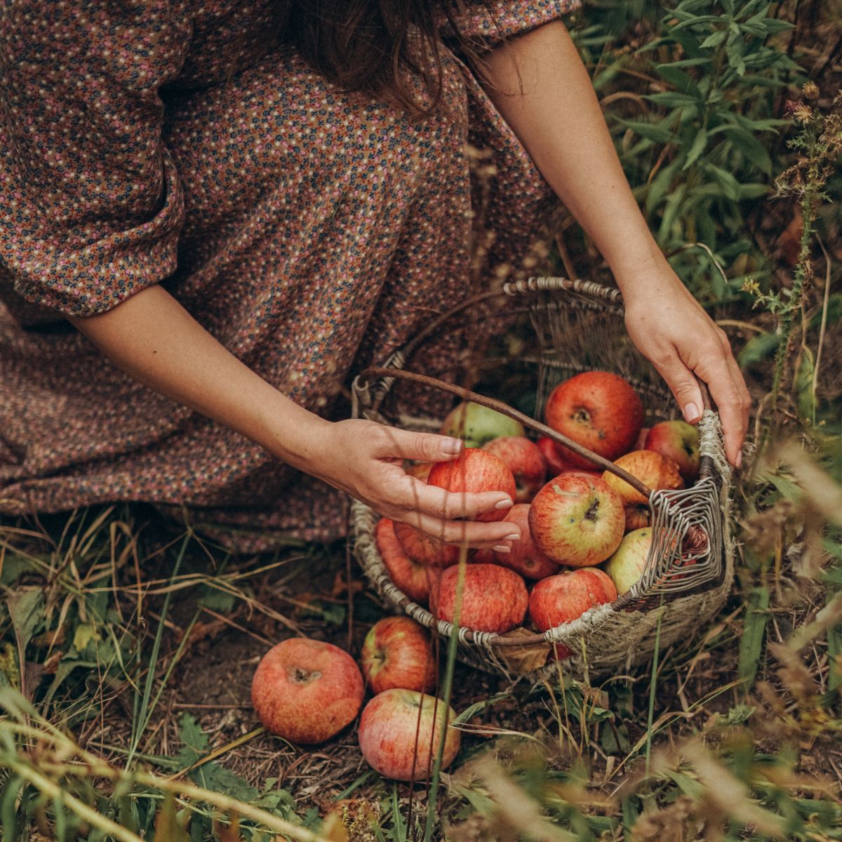 Mabon: Bedeutung, Heilsteine & Rituale