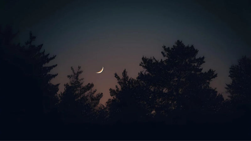 Neumond im Widder: Aufbruch und neuer Mut