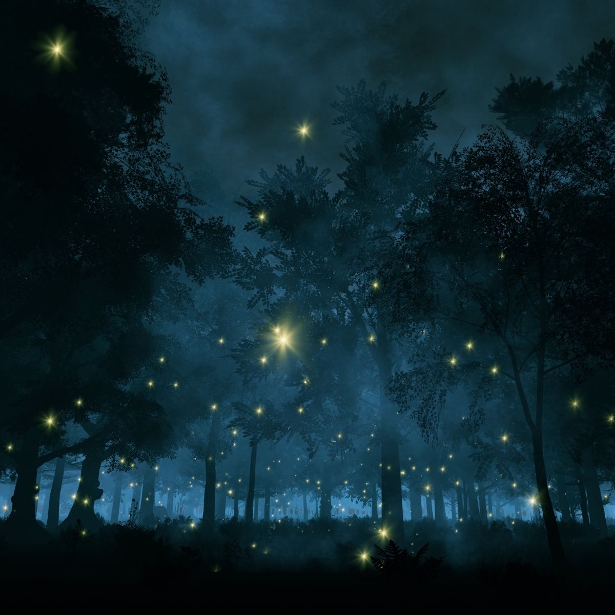 Glühwürmchen zwischen Bäumen in der Nacht