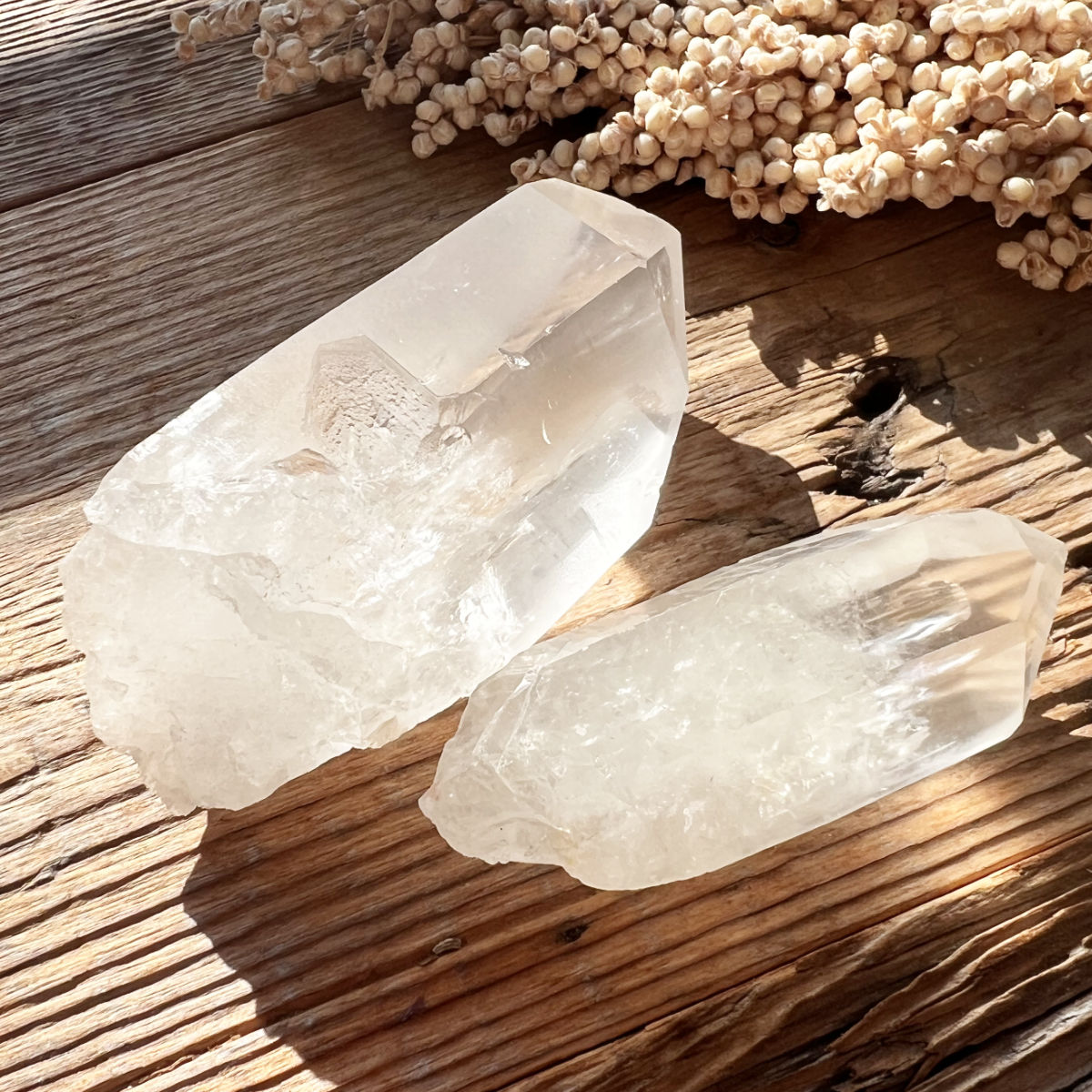 Lemurian
