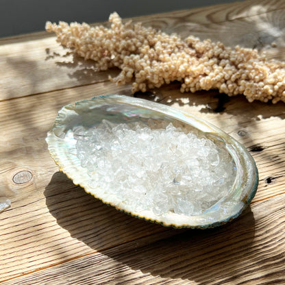 Muschel Schale (Abalone) - DIY SPIRIT #