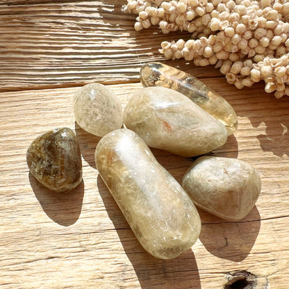 Citrin (Natur) Trommelstein - DIY SPIRIT #