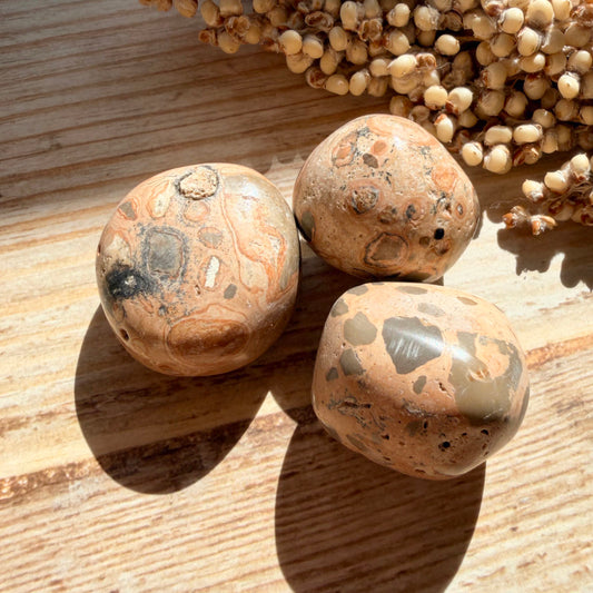 Leopardit Trommelstein