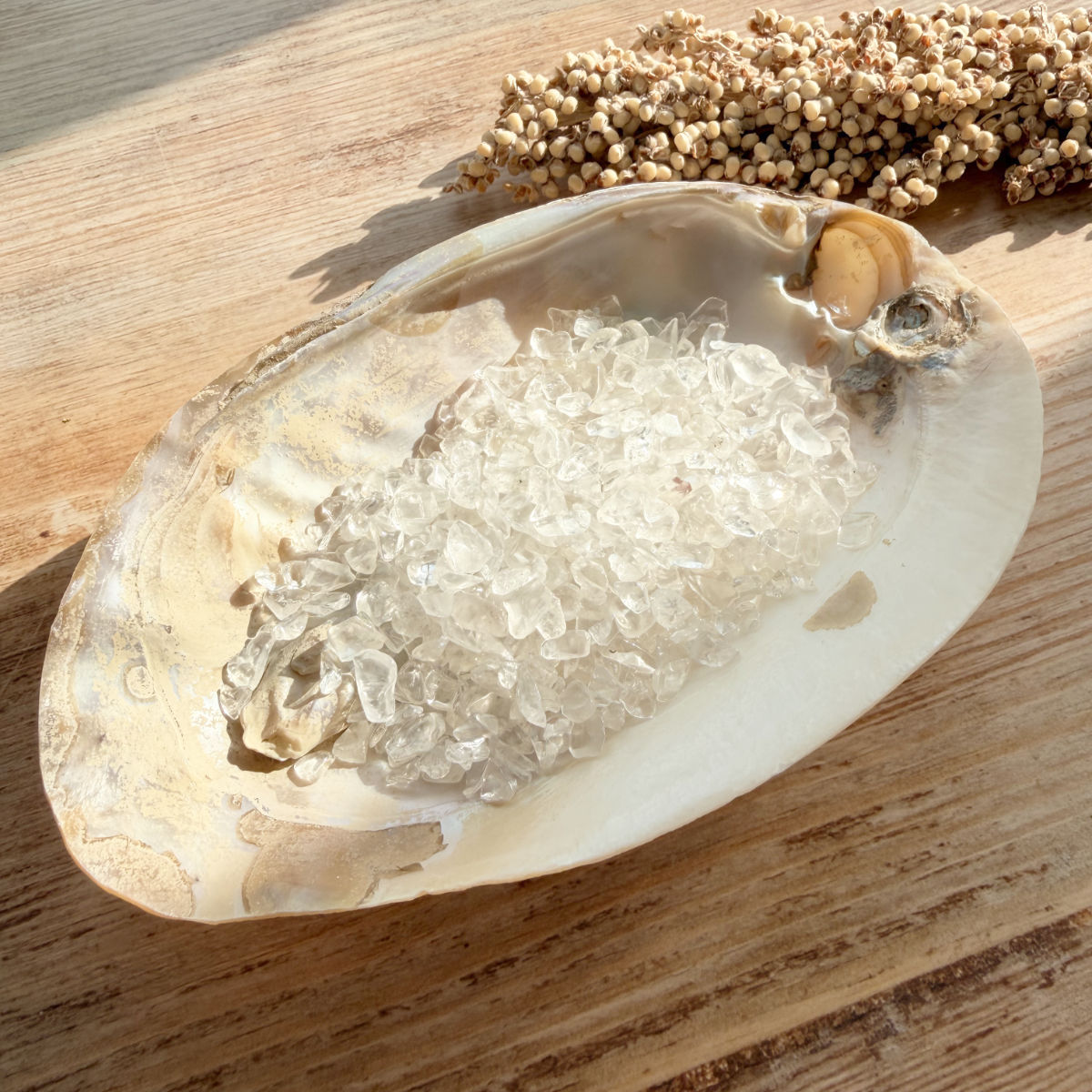 Perlmutt Muschelschale