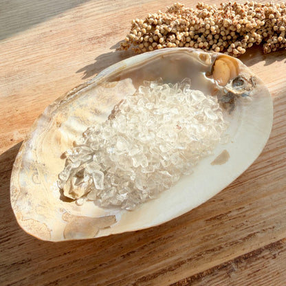 Perlmutt Muschelschale