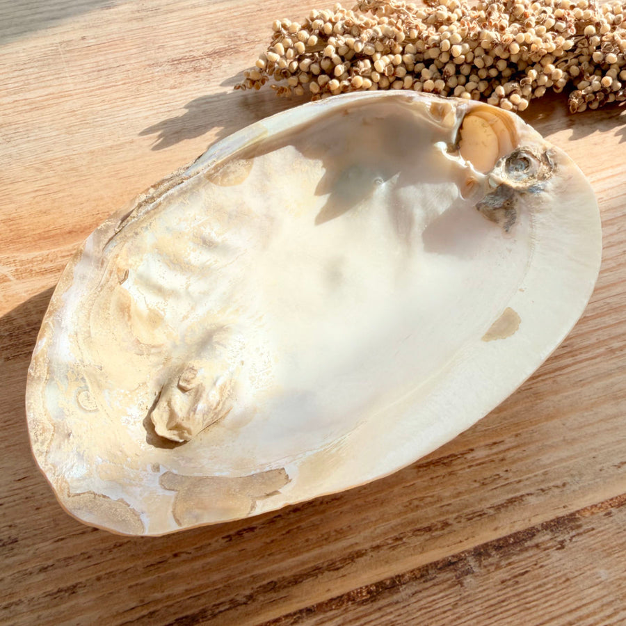 Perlmutt Muschelschale - DIY SPIRIT
