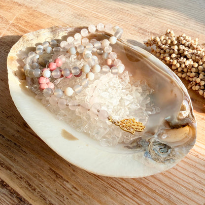 Perlmutt Muschelschale