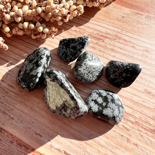 Schneeflockenobsidian Trommelstein