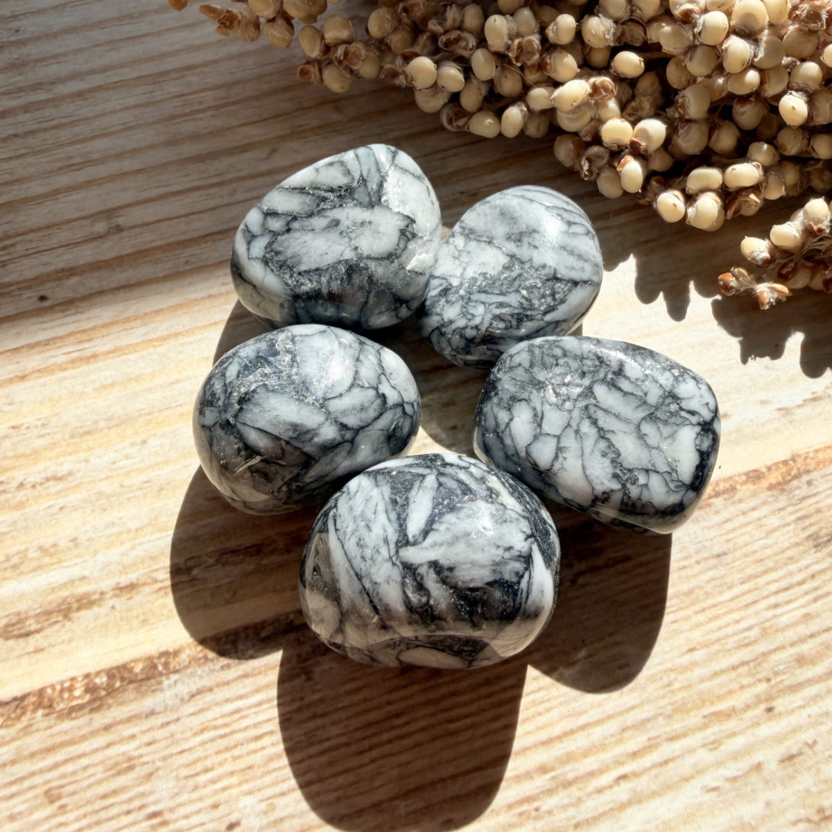 Pinolith Trommelstein