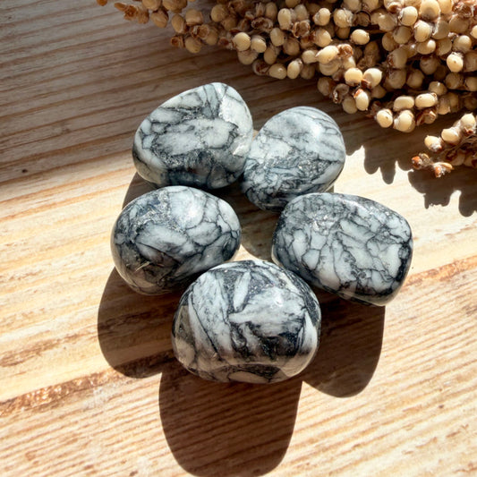 Pinolith Trommelstein