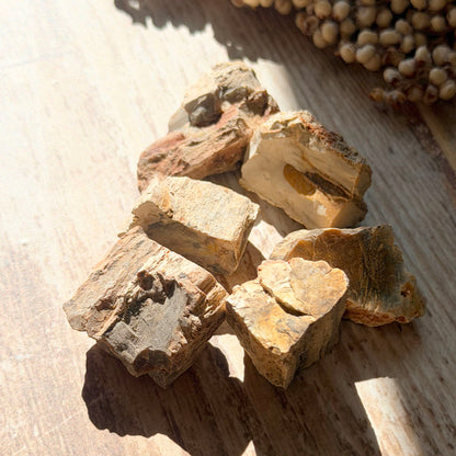 Versteinertes Holz Rohstein