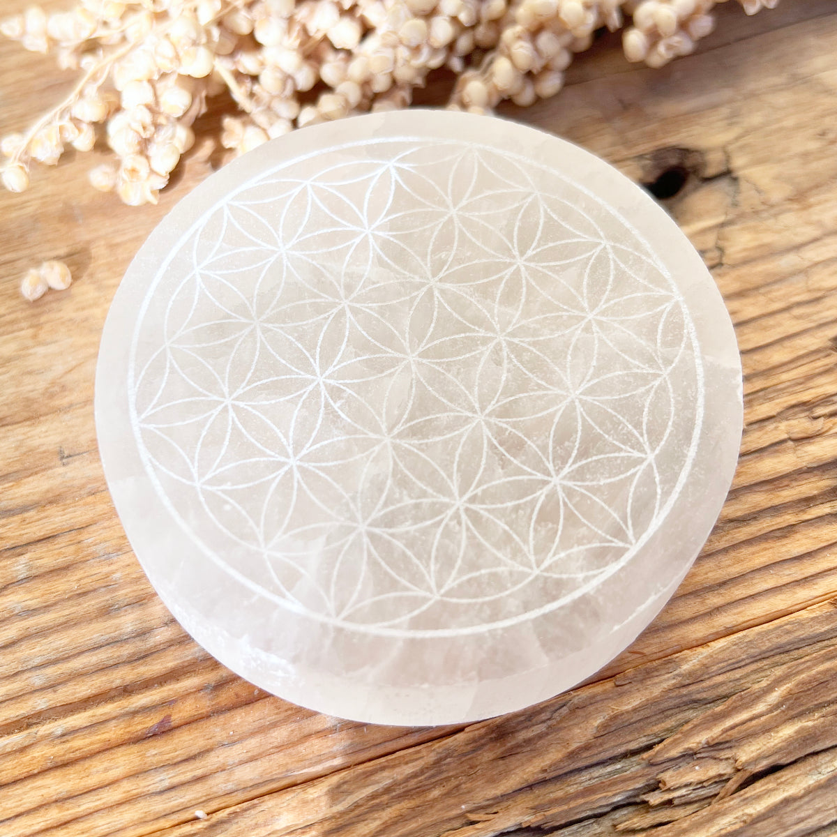 Selenit Ladeplatte (Blume des Lebens) - DIY SPIRIT