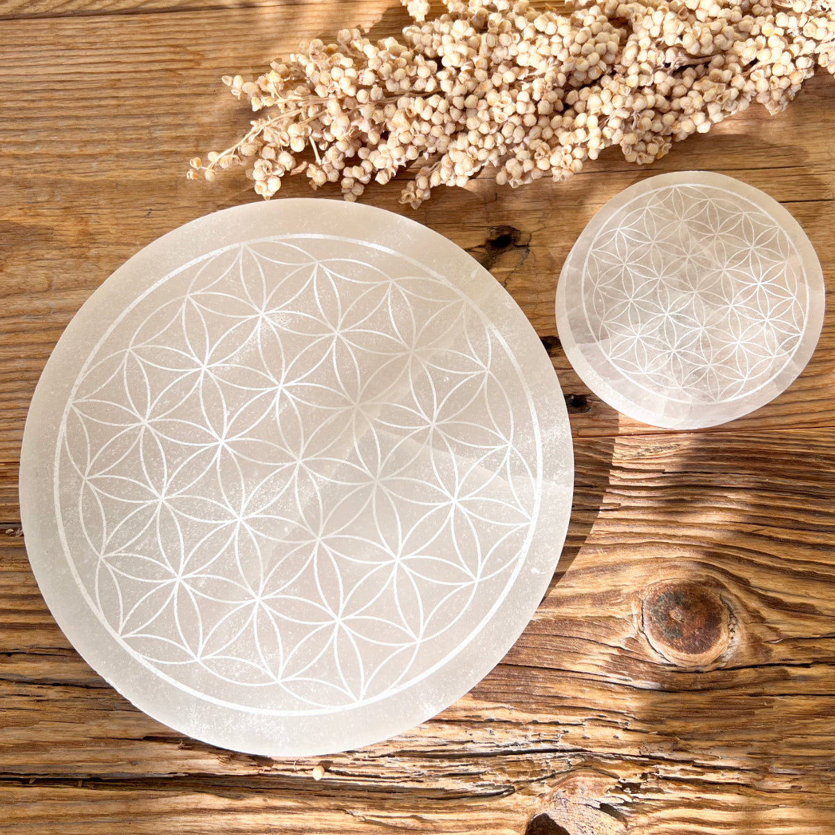 Selenit Ladeplatte (Blume des Lebens) - DIY SPIRIT