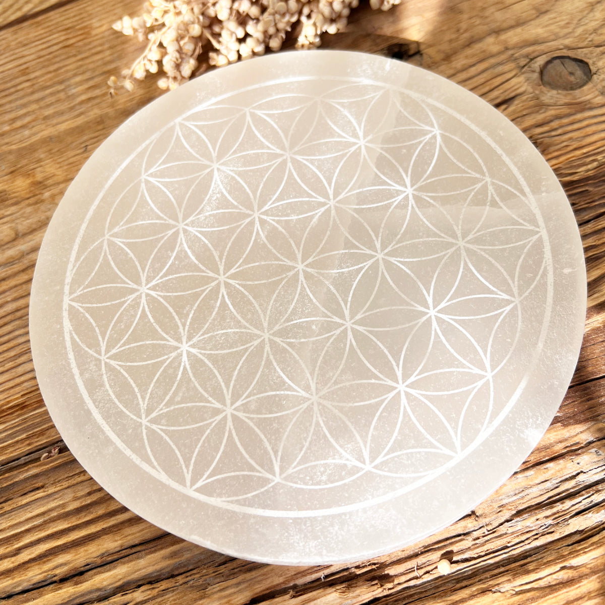 Selenit Ladeplatte (Blume des Lebens) - DIY SPIRIT