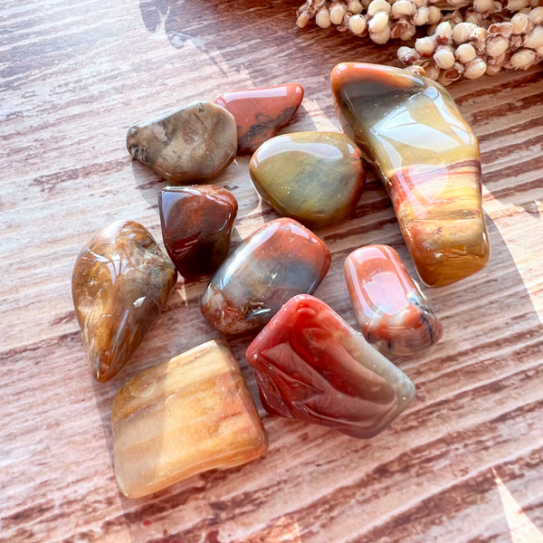 Versteinertes Holz Trommelstein