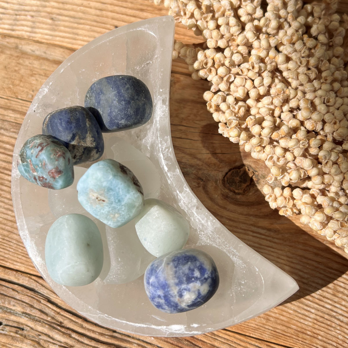 Growth Wasserstein-Set - DIY SPIRIT